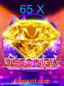 DiscoNight